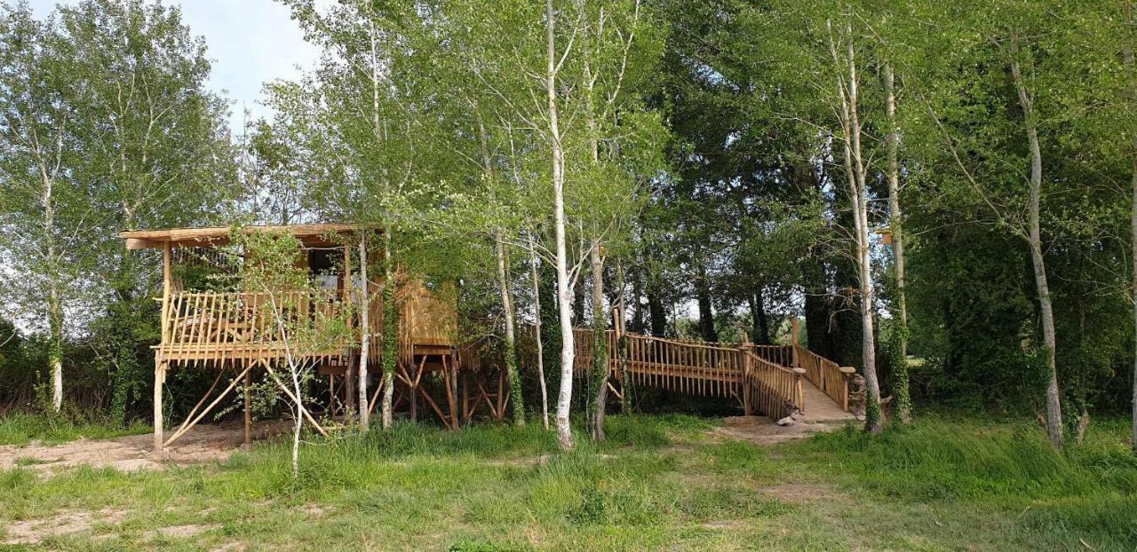 La Cabane Perchee Villelaure Exteriör bild