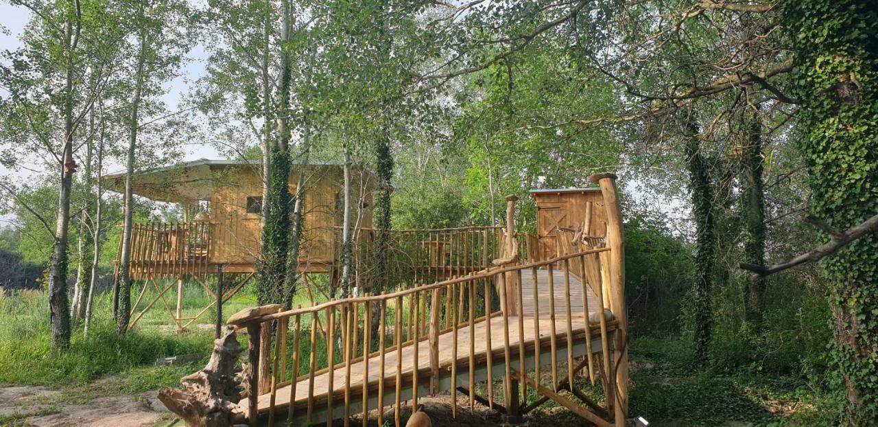 La Cabane Perchee Villelaure Exteriör bild