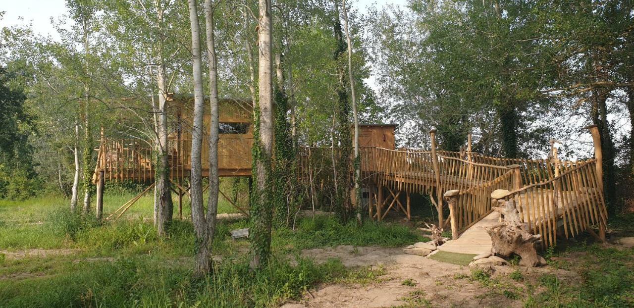 La Cabane Perchee Villelaure Exteriör bild